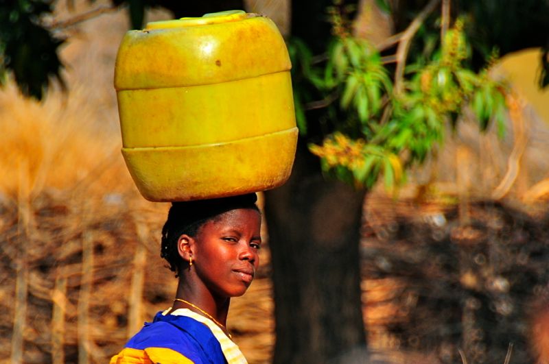 Guinea